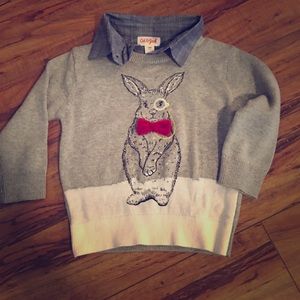 Cat jack sweater